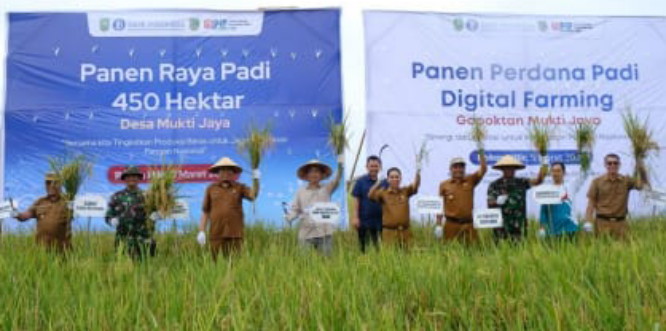 Galakkan Program GNPIP, TPID Rohil Bersama BI Gelar Panen Raya